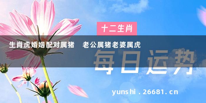 生肖虎婚姻配对属猪 老公属猪老婆属虎